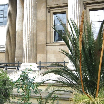 The British Museum