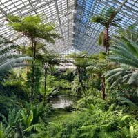 Garfield Park Conservatory