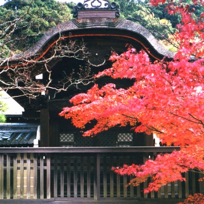 Eikando Zenrinji Temple