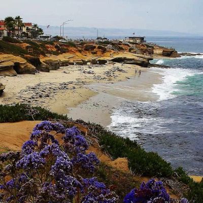 La Jolla Cove