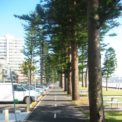 Manly Beach