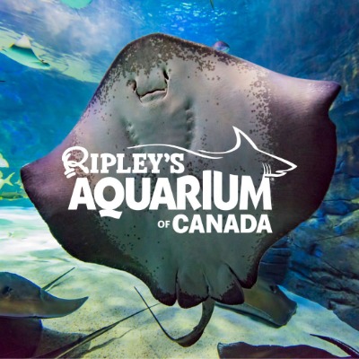 Ripley's Aquarium of Canada