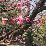 Sanjusangendo Temple